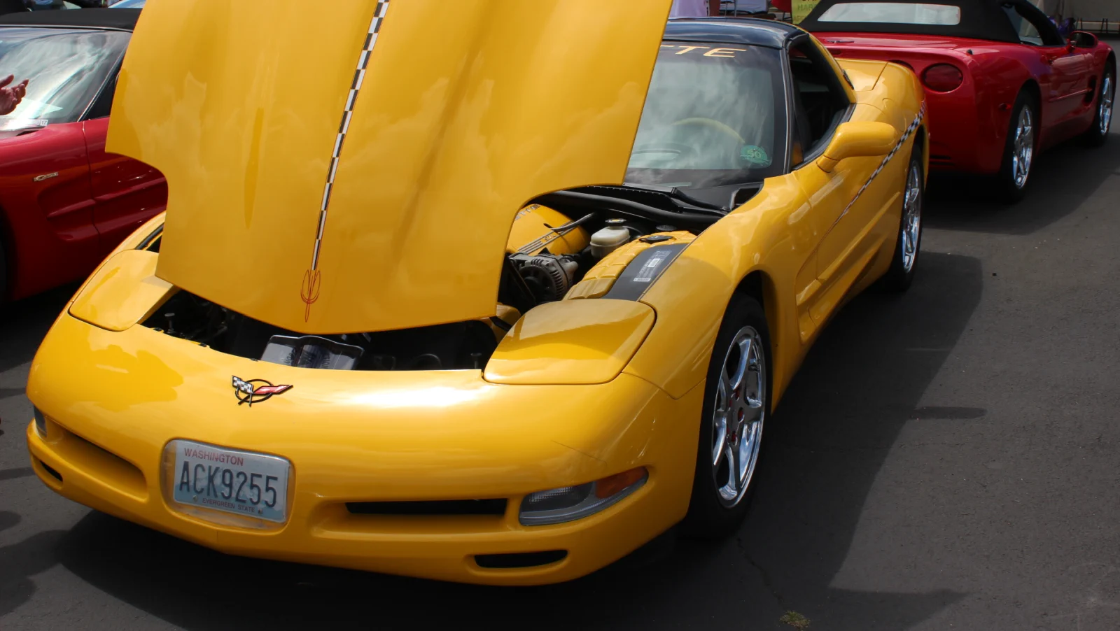Click to Enlarge-Esc to Close Corvette Generations/C5/C5 2002 Yellow -McCorkle.webp